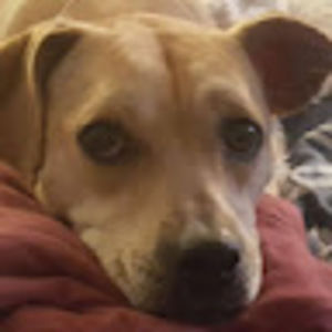 Meet your Posher, M.